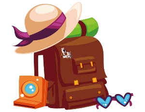 travel luggage 